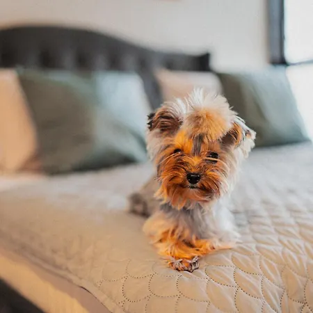 Great Polonia The Granary La