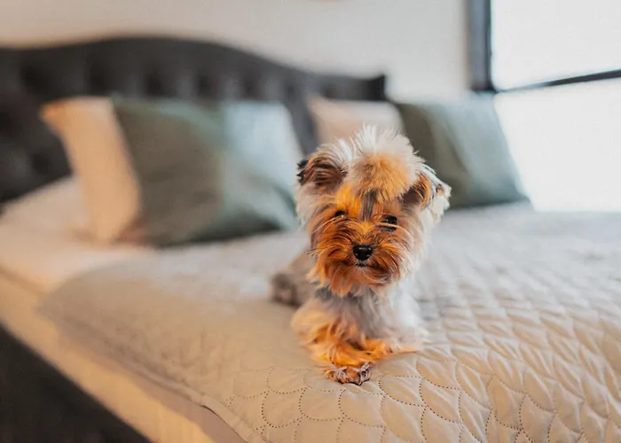 Great Polonia The Granary La